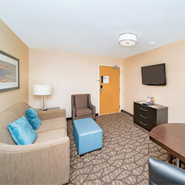 Guest Suites - Embassy Suites by Hilton Niagara Falls - Fallsview Hotel, Canada