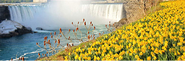 Embassy Suites Niagara Falls - Fallsview Hotel