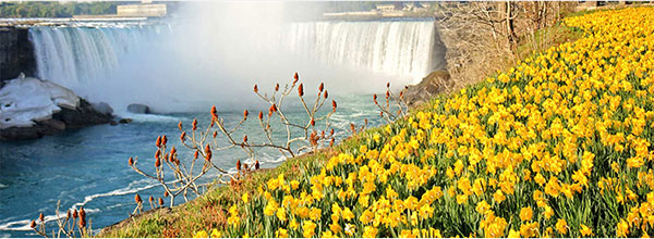 Embassy Suites Niagara Falls - Fallsview Hotel